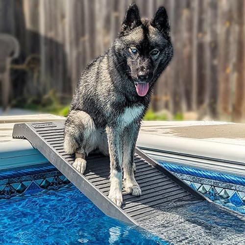 PetStep Dog Ramp for Pools - (Standard Legs, Graphite/Gray)