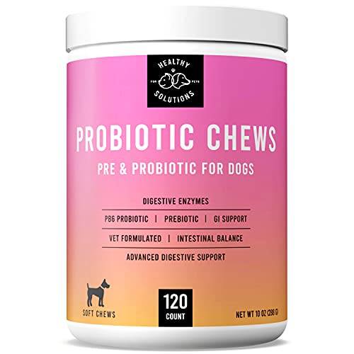 Probiotics for Dogs - Dog Probiotic Chews and Digestive Enzymes - Vet Strength Pet Supplement with Prebiotic for Digestion Support, Gut Health, Allergies, Itchy Skin - 120 Soft Chews | Made in USA