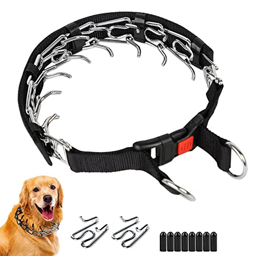 Flat Prong Collar 2024 Vet Ranch We Love Pets