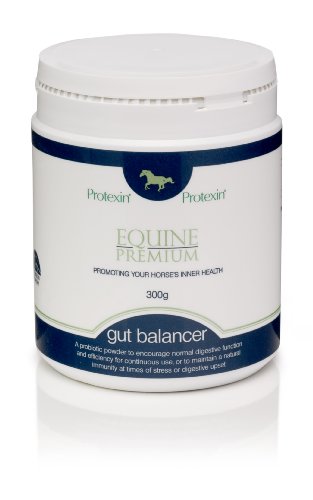 Protexin Equine Premium Gut Balancer 300 g