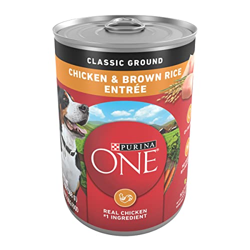 Purina ONE Classic Ground Chicken and Brown Rice Entree Adult Wet Dog Food - 13 Oz. Can, Pack of 12