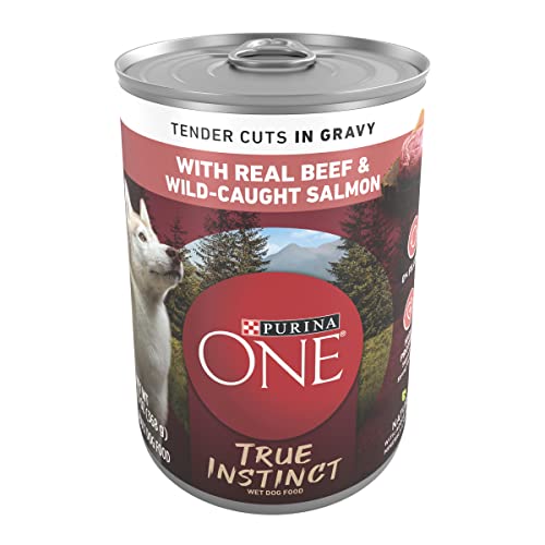 Purina ONE Natural Wet Dog Food Gravy, True Instinct Tender Cuts With Real Beef and Salmon - 13 oz. Can