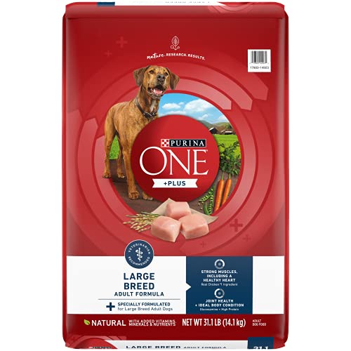 Purina ONE Plus Large Breed Adult Dog Food Dry Formula - 31.1 lb. Bag