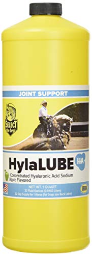 RICHDEL HylaLube, 1 Quart, Concentrated Hyaluronic Acid Sodium Animal Joint Support Supplement