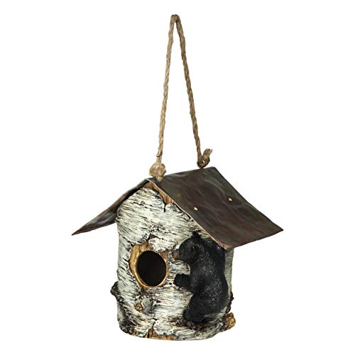 Rivers Edge Products Bird House, Nesting House for Small to Medium Birds, Outdoor Rustic Garden Decor, Birch Tree and Bear