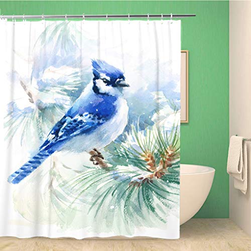 rouihot Bathroom Shower Curtain Watercolor Bird Blue Jay Winter Christmas Hand Painted Greeting Card Polyester Fabric 66x72 inches Waterproof Bath Curtain Set with Hooks