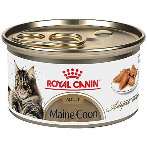 Royal Canin Feline Breed Nutrition Maine Coon Adult Thin Slices in Gravy Canned Cat Food, 3 oz can