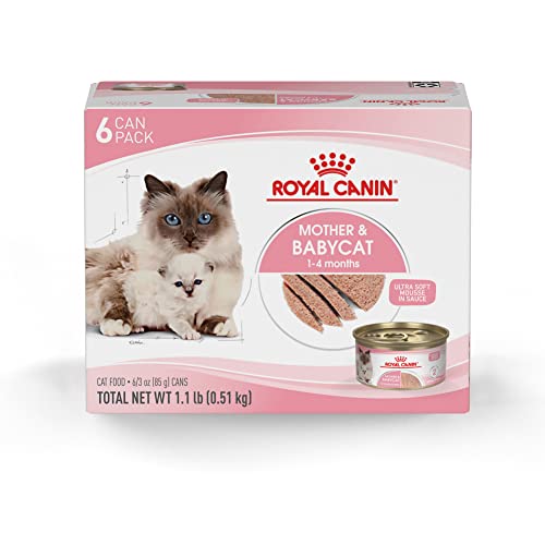 Royal Canin Feline Health Nutrition Mother & Babycat Ultra Soft Mousse in Sauce Canned Cat Food, 3 oz can (6-pack)