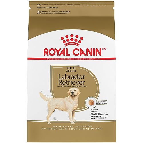 Royal Canin Labrador Retriever Adult Dry Dog Food, 30 lb bag