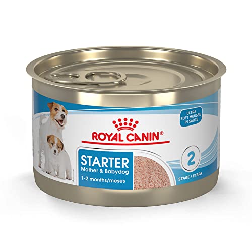 Royal Canin Size Health Nutrition Small Mother & Babydog Starter Mousse in Sauce Wet Dog Food, 5.1 oz can (24-count)