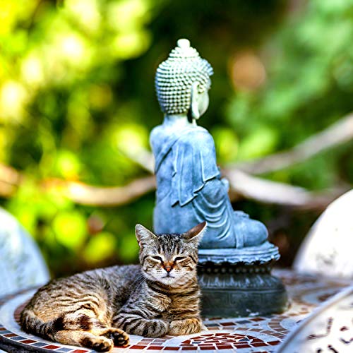 Sleeping Cat next to a Small Zen Fountain