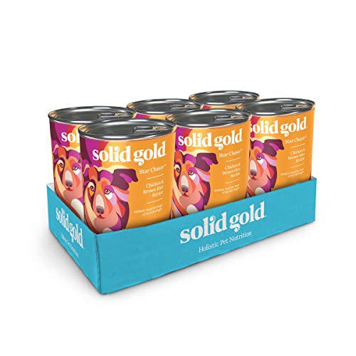 Solid Gold Canned Dog Food for Adult & Senior Dogs - Made with Real Chicken and Whole Grains - Star Chaser High Calorie Wet Dog Food for Healthy Digestion and Immune Support…