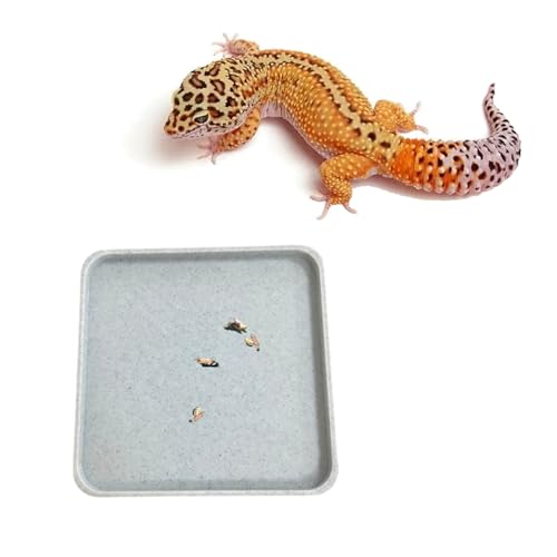 spansee Leopard Gecko Potty Pad, Gecko Potty Latrine/Trays, Crested Gecko Leopard Gecko Litter Box, Leopard Gecko Tank Accessories,Set of 2, Small