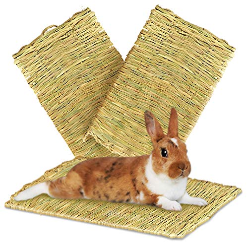 SunGrow 3-Pcs Sea Grass Mat, 16” x 11" (XL), Handmade Edible Bunny Foraging Straw Bedding Floor Mat for Rabbit Cages & Nesting Box Sleeping, Chew Toy Bed for Guinea Pig, Hamster & Other Small Animals