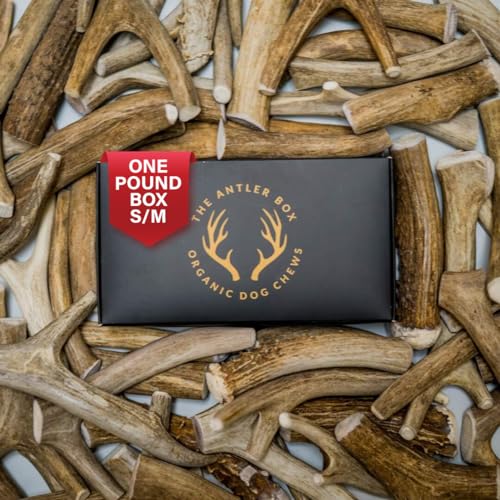 The Antler Box Premium Deer Antler Dog Chews (1 lb Bulk Pack) (Small/Medium(6 to 7 Antlers/lb))