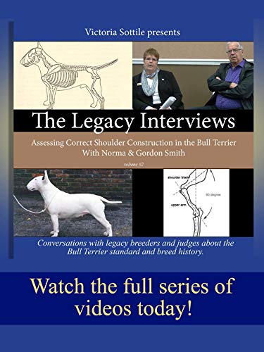 The Legacy Interviews-Assessing Correct Shoulder Construction in the Bull Terrier: Talking with Norma & Gordon Smith