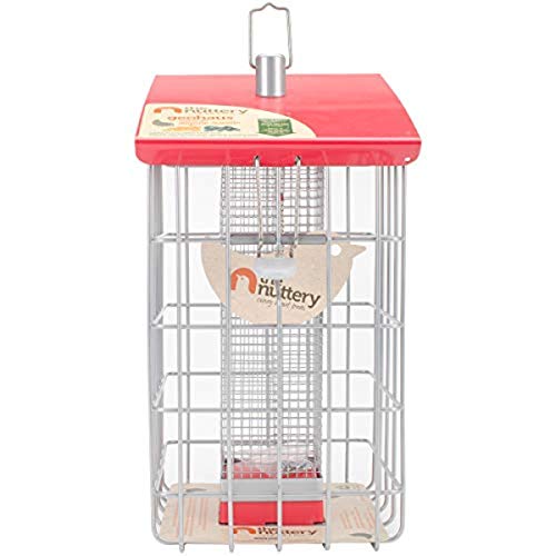 The Nuttery NC015 Geohouse Peanut/Sunflower Seed Feeder