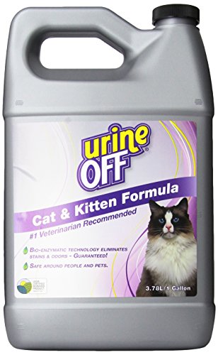 Urine Off Kitten & Cat Pet Stain Remover | Fresh Scent Carpet Cleaner | Bio Enzymatic Stain & Urine Odor Eliminator | Pet Safe Cleaner | 1 gal.