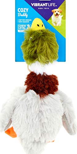 Vibrant Life Cozy Buddy Duck
