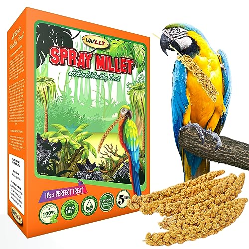 Vivlly 5LBS GMO-Free Sun Dried Spray Millet - Original Bird Treat Millet for Parakeets, Cockatiels, Finches & More - Non-GMO, High in Amino Acids, Easy Storage, Tasty & Healthy Bird Snacks (5 lbs)