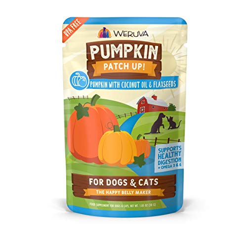 Weruva Pumpkin Patch Up! Pumpkin Pouches for Dogs & Cats