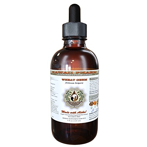 Wheat Germ, Veterinary Natural Alcohol-Free Liquid Extract, Pet Herbal Supplement 4 oz