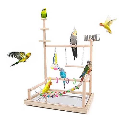 Wooden Bird Playstand-Sturdy Stable and Safe Parrot Play Gym for Parakeets African Grey Conures Cockatiels Cockatoos Parrotlets and Finches, Easy Assembly Includes Colorful Toys and Perch