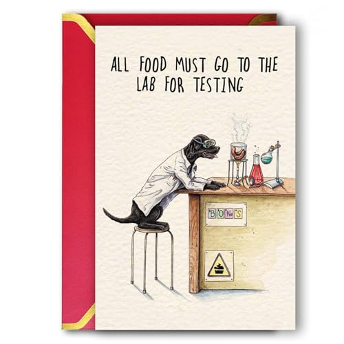 Ziwenhu Humor Birthday Card for Dog Owner Lover, Pretty Black Lab Dog Pun Card, Cute Labrador Card for Friends, Black Lab Dog Card, All Food Must Go To The Lab For Testing Card