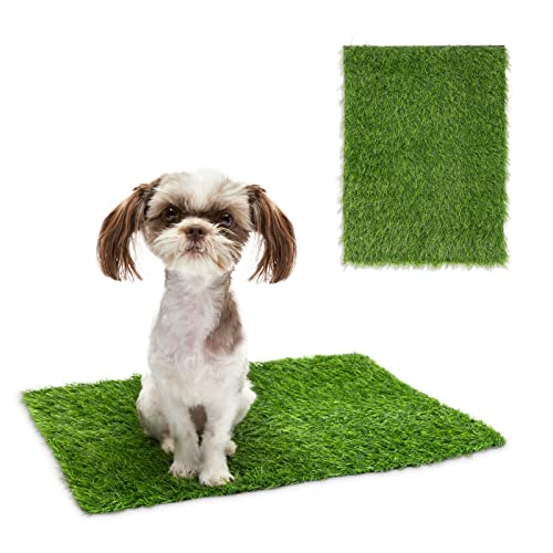 2 Pack Artificial Turf for Dogs and Puppy Potty Training with Drain Holes, Faux Grass Mat for Crafts, Indoor and Outdoor Decor, Green Turf Rug for Doormat, Under Bench Shoe Storage (15 x 20 Inches)