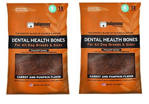 (2 Pack) Indigenous Dental Health Bones Carrot and Pumpkin Flavor - 17 Ounces each