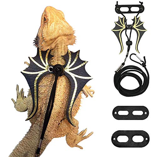 Juvenile Bearded Dragon Accessories