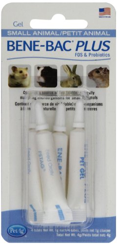 Bene-Bac Plus Pocket Pet Gel, 4-Pack