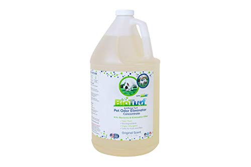 BioTurf BioS+ Artificial Turf Grass Concentrate Enzyme Cleaner and Pet Odor Eliminator - Removes Odors and Sanitizes - Organic, Safe, Environmentally Responsible (1 Gallon) - Original Scent