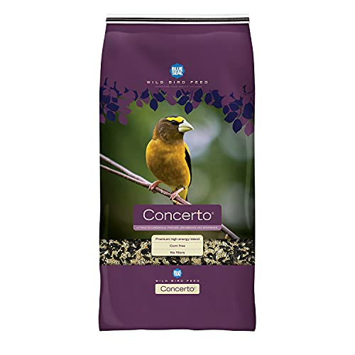 Blue Seal Concerto Wild Bird Seed | Premium High-Energy Blend, No Fillers, Corn Free | 8 Pound Bag