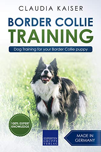 Border Collie Training: Dog Training for your Border Collie puppy