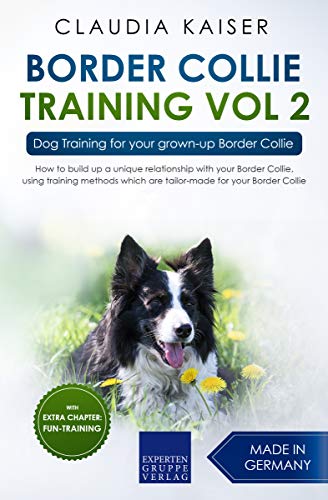 Border Collie Training Vol. 2: Dog Training for your grown-up Border Collie