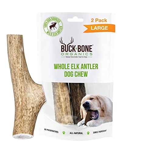 Buck Bone Organics Dog Chews, Elk Antlers for Dogs, Long Lasting Dog Bones for Aggressive Chewers, All Natural, No Preservatives, Wild Shed in The USA (Large 2 Pack)