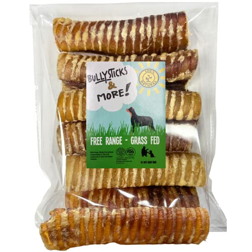 BULLYSTICKS & MORE 6 Inch Beef Trachea (6 Inch - 6 Pack) | Beef Trachea for Dogs | 100% Grass Fed Beef | Dog Parents Choice Beef Trachea Dog Chews | Long Lasting Beef Trachea Dog Treats