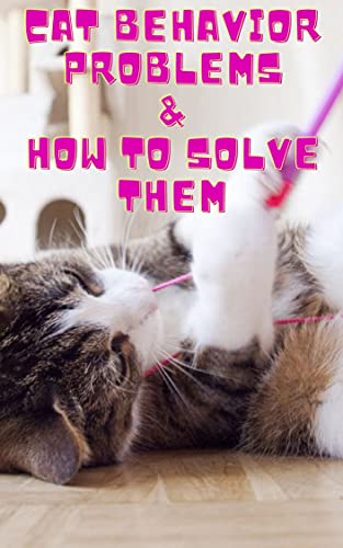 Cat Behavior Problems & How to Solve Them: Decode Your Cat’s Behavior