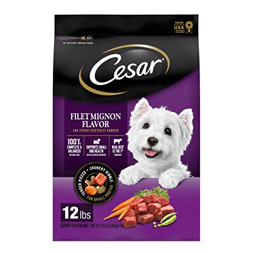 CESAR Small Breed Adult Dry Dog Food Filet Mignon Flavor with Spring Vegetables Garnish Dog Kibble, 12 lb. Bag