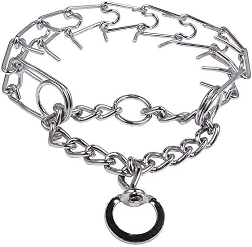 Prong Collars Bad For Dogs