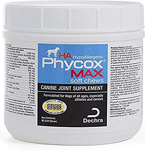 Large Breed Dog Supplements