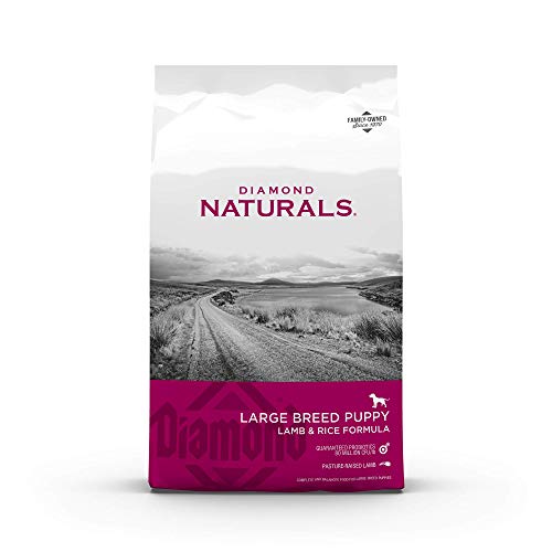 Diamond Naturals Large Breed Dry Puppy Food Real Lamb and Rice Protein, Probiotics, Superfoods, Antioxidants and Other Premium Ingredients to Support Health in Growing Puppies 20lb