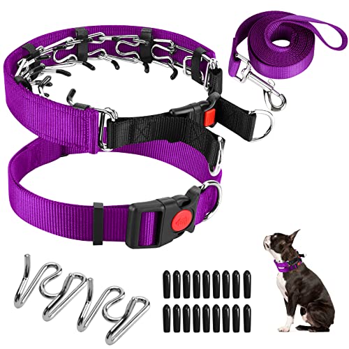 Dog Prong Training Collar, Dog Choke Pinch Collar with Nylon Cover Comfort Tips and Quick Release Snap Buckle, Dog Classic Collar and Dog Leash for Small Medium Large Dogs, Purple