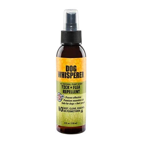 Dog Whisperer Tick + Flea Repellent, All-Natural, Extra Strength, Effective on Dogs and Their People (4 Ounce Spray)