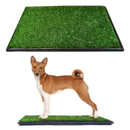 Downtown Pet Supply Dog Grass Pad with Tray, 20 x 25 - Outdoor and Indoor Potty System for Dogs with Replaceable Synthetic Grass Pee Turf - Portable and Waterproof Turf Dog Potty