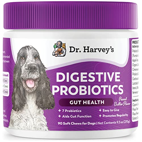 Dr. Harvey's Digestive Probiotic Soft Chews for Dogs, 7 Probiotics for Gut Health, Diarrhea and Bowel Support, Peanut Butter Flavor (90 Chews)