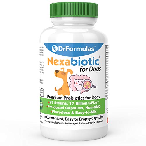 DrFormulas Probiotics for Dogs & Puppies Pets Diarrhea Treatment | Flavorless, Pre-dosed, 23 Premium Nexabiotic Probiotic for Pets with Saccharomyces Boulardii, Lactobacillus Acidophilus, 30 Doses