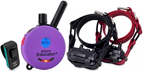 Educator E-Collar Humane Dog Training Collar with Remote, 100 Safe Tapping Stimulation Levels, Night Light, Waterproof, Rechargeable, 1/3 Mile 2 XSmall-Small Dogs Double Bungee Collar Bundle, Purple