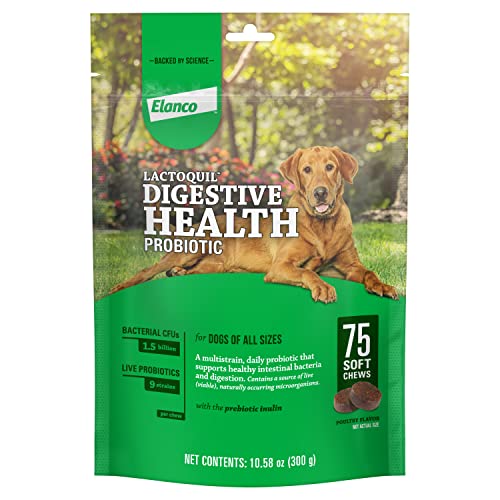 Elanco Lactoquil Soft Chews Digestive Health Probiotic Supplement for Dogs, 75 Count